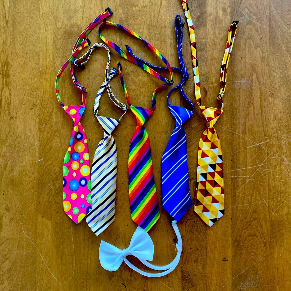 Bundle of Dog ties